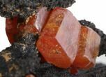 Red Vanadinite Crystals on Manganese Oxide - Morocco #38481-1